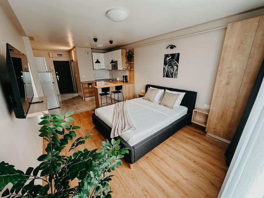 Agoll Victoria - Self Checkin Apartment เรชิตา ภายนอก รูปภาพ